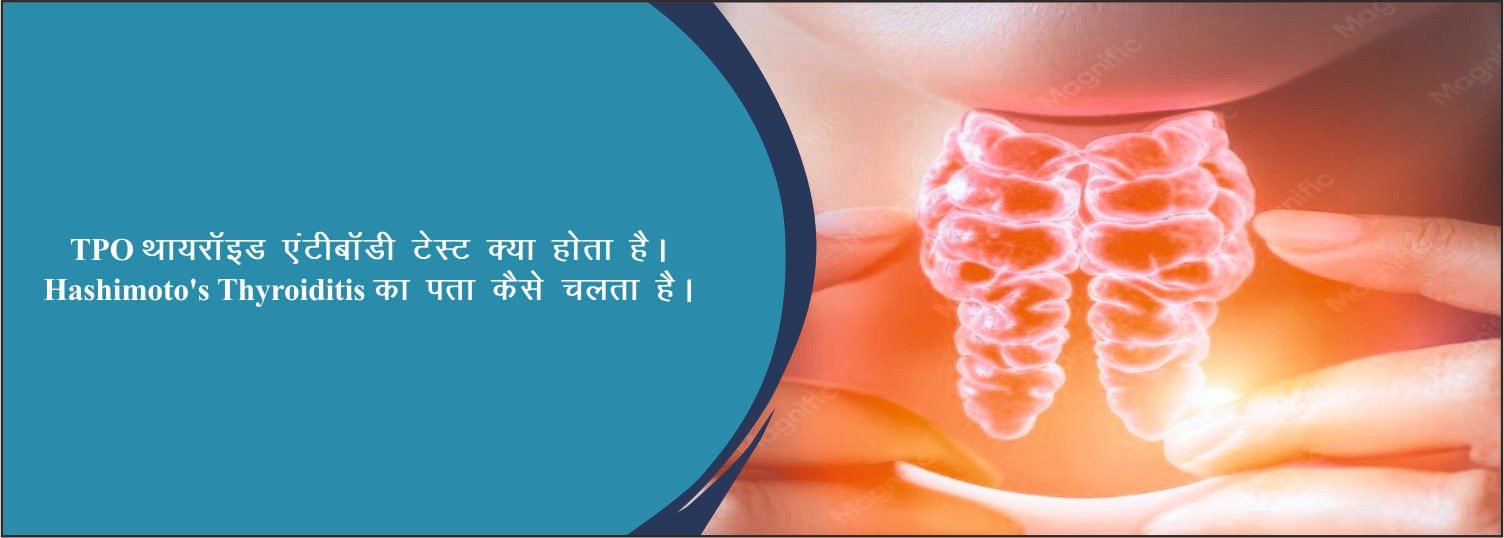 Anti-TPO थायरॉइड एंटीबॉडी टेस्ट क्या होता है? Hashimoto’s Thyroiditis का पता कैसे चलता है?