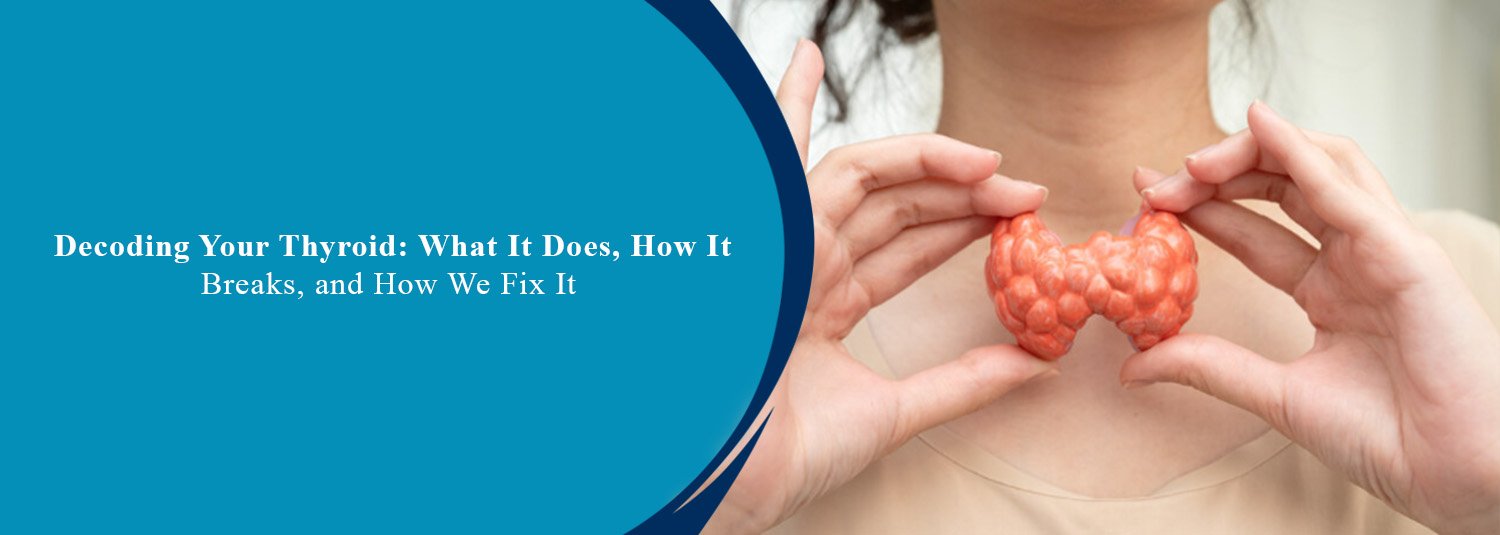 Decoding Your Thyroid: What It Does, How It Breaks, and How We Fix It