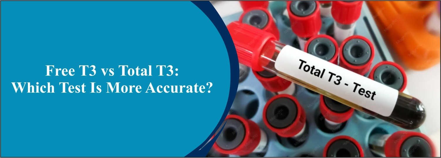 Free T3 vs Total T3: Which Test Is More Accurate?